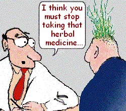 cartoons 17