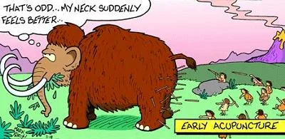 cartoons 26