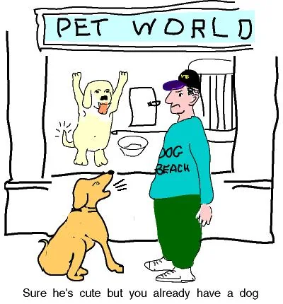 cartoons 67