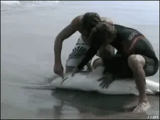 funnygifs 11