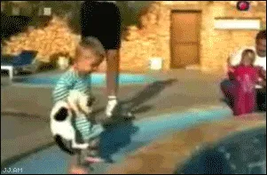 funnygifs 17