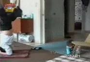 funnygifs 46