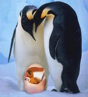 funnypictures 6