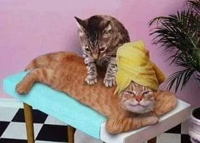 funnypictures 7