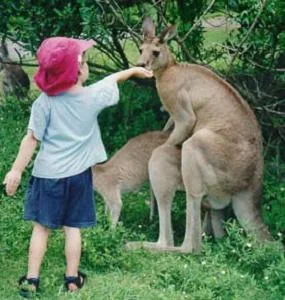 funnypictures 28