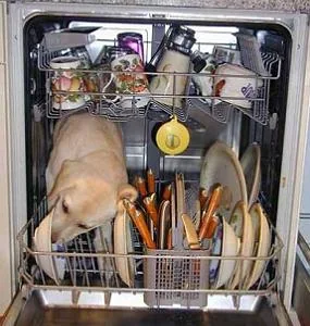 funnypictures 32