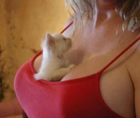 funnypictures 45