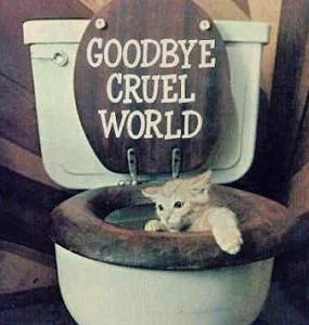 funnypictures 47