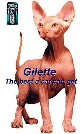funnypictures 66