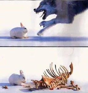 funnypictures 71