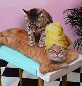 funnypictures 72