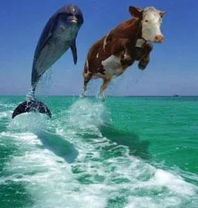 funnypictures 108