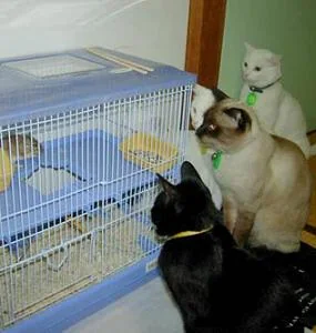 funnypictures 115