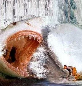 funnypictures 131