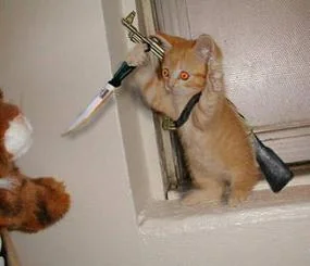 funnypictures 144