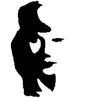 opticalillusions 4