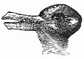 opticalillusions 6