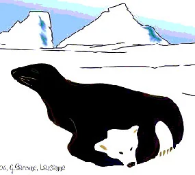 opticalillusions 8