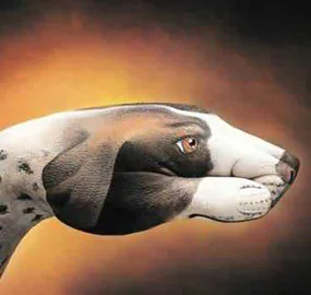opticalillusions 14