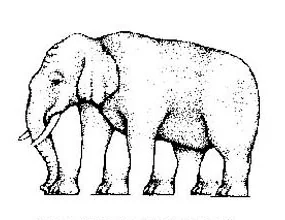 opticalillusions 33