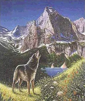 opticalillusions 37