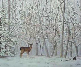opticalillusions 40