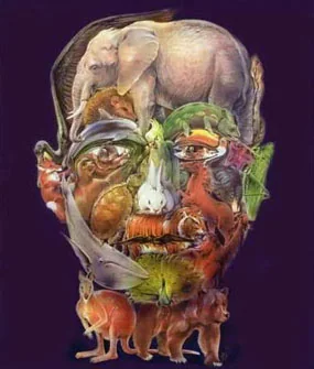 opticalillusions 46