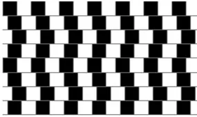 opticalillusions 54